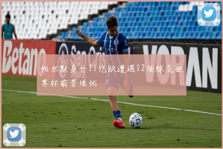 帕尔默身价11亿欧遭遇12场球荒世界杯前景堪忧