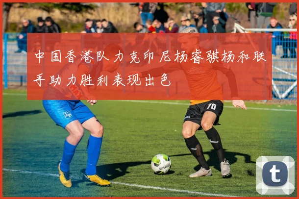 中国香港队力克印尼杨睿骐杨和联手助力胜利表现出色